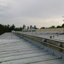 DSC00520