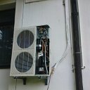 DSC01433