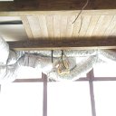 DSC01019
