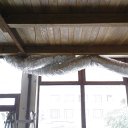 DSC01024