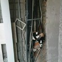 DSC01129